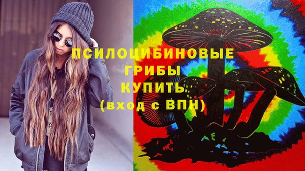 бошки Богородицк