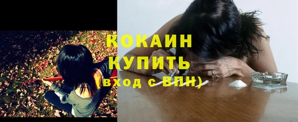 Альфа ПВП Богданович